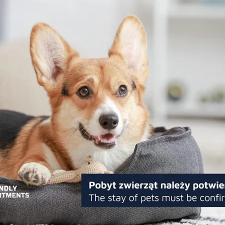 Kramarska - 24h - Old Market Square By Friendly شقة *